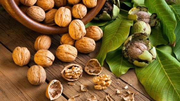 Vlašské ořechy, díky jejichž použití se zvyšuje účinnost